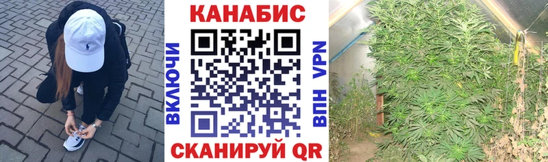 Марихуана конопля  ОМГ ОМГ зеркало  Луза 